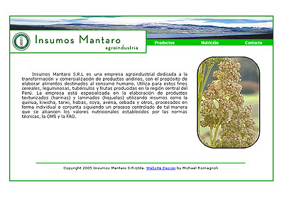 Insumos Mantaro Website Design Review
